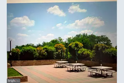 3709 S George Mason Drive #1014E, Falls Church, VA 22041 - Photo 3