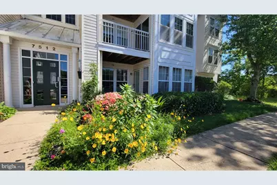 7512 Snowpea Court #D, Alexandria, VA 22306 - Photo 1