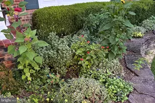 6003 Sherborn Ln, Springfield, VA 22152 - Photo 43