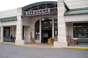 1433 Buena Vista Ave, McLean, VA 22101 - Photo 63