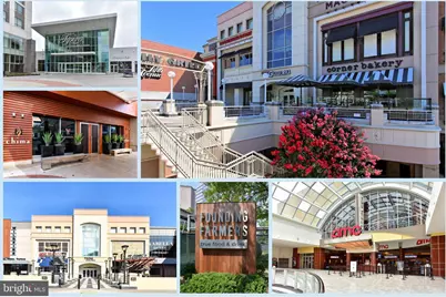 10225 Forest Lake Drive, Great Falls, VA 22066 - Photo 103