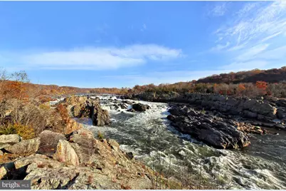 10225 Forest Lake Drive, Great Falls, VA 22066 - Photo 81