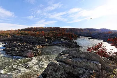 10225 Forest Lake Drive, Great Falls, VA 22066 - Photo 83