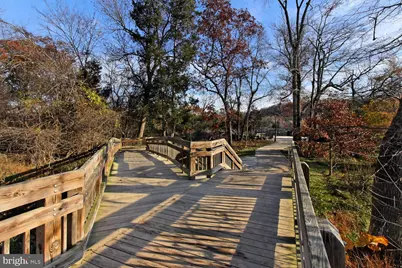 10225 Forest Lake Drive, Great Falls, VA 22066 - Photo 87