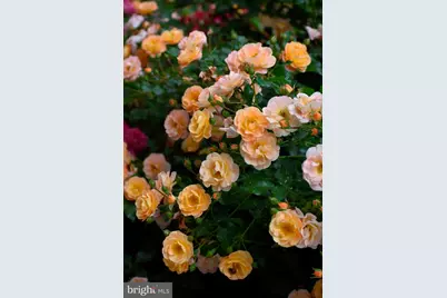 5408 Heatherford Court, Fairfax, VA 22030 - Photo 69