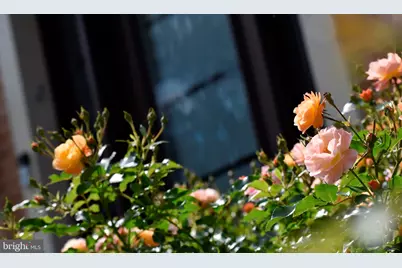 5408 Heatherford Court, Fairfax, VA 22030 - Photo 69