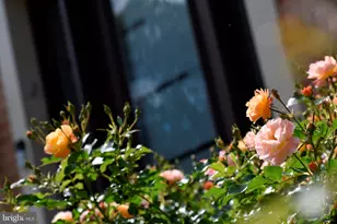 5408 Heatherford Ct, Fairfax, VA 22030 - Photo 69