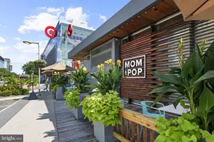 7746 New Providence Dr, Falls Church, VA 22042 - Photo 49