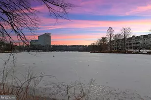 7746 New Providence Dr, Falls Church, VA 22042 - Photo 27