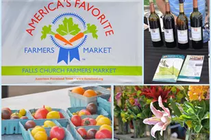 7746 New Providence Dr, Falls Church, VA 22042 - Photo 53