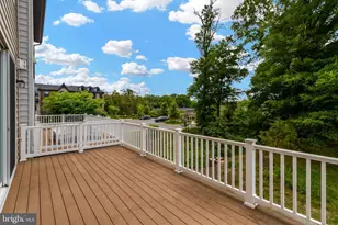 8102 Zoe Pl, Alexandria, VA 22306 - Photo 43