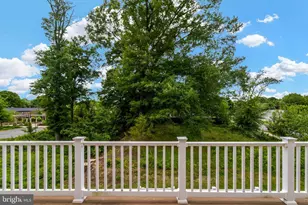 8102 Zoe Pl, Alexandria, VA 22306 - Photo 45