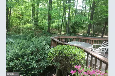 4634 Star Flower Drive, Chantilly, VA 20151 - Photo 7