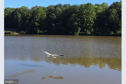 5342 Guinea Road, Fairfax, VA 22032 - Photo 55