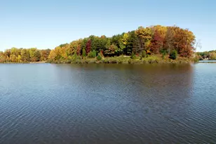 5342 Guinea Rd, Fairfax, VA 22032 - Photo 53