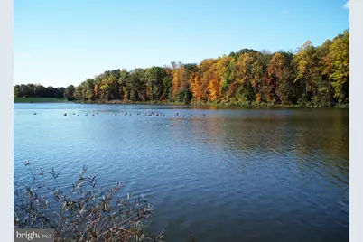 5342 Guinea Road, Fairfax, VA 22032 - Photo 51