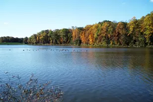 5342 Guinea Rd, Fairfax, VA 22032 - Photo 51