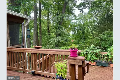 2519 Buckelew Drive, Falls Church, VA 22046 - Photo 19