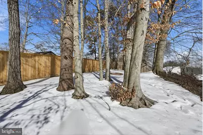 8118 Viola Street, Springfield, VA 22152 - Photo 23