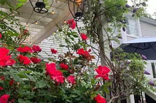 8812 Surrey Ct, Alexandria, VA 22309 - Photo 3