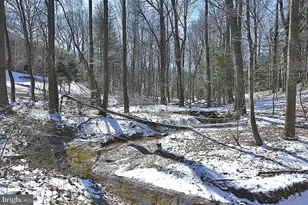 5902 Cove Landing Rd, Burke, VA 22015 - Photo 47