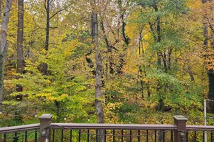 5236 Ampthill Dr, Alexandria, VA 22312 - Photo 17