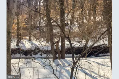 5236 Ampthill Drive, Alexandria, VA 22312 - Photo 17