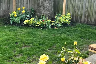 2201 Harvard Dr, Alexandria, VA 22307 - Photo 31