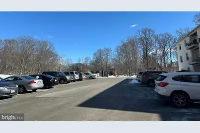 5900 Prince George Drive #D, Springfield, VA 22152 - Photo 13