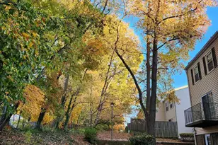 6319 Fenestra Ct, Burke, VA 22015 - Photo 51