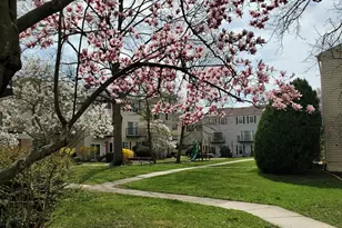 6319 Fenestra Ct, Burke, VA 22015 - Photo 49