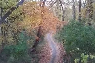 6319 Fenestra Ct, Burke, VA 22015 - Photo 55