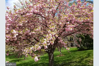 6319 Fenestra Court #138A, Burke, VA 22015 - Photo 49