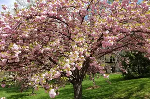 6319 Fenestra Ct, Burke, VA 22015 - Photo 49