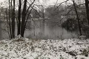 1831 Beulah Rd, Vienna, VA 22182 - Photo 93