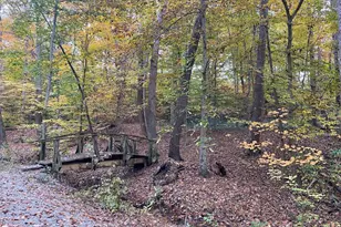 3213 Wessynton Way, Alexandria, VA 22309 - Photo 55