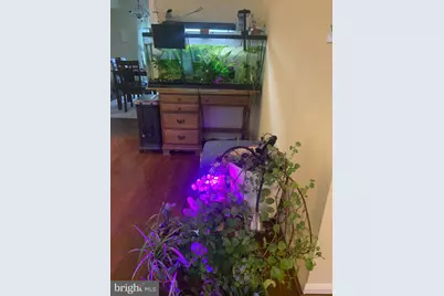 8210 Carrleigh Parkway #6, Springfield, VA 22152 - Photo 29