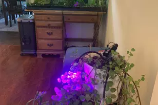 8210 Carrleigh Pkwy, Springfield, VA 22152 - Photo 29