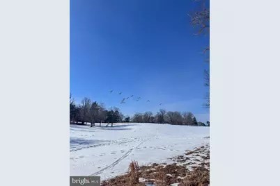 2158 Golf Course Dr. Drive, Reston, VA 20191 - Photo 33