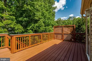 7604 Bertito Ln, Springfield, VA 22153 - Photo 57