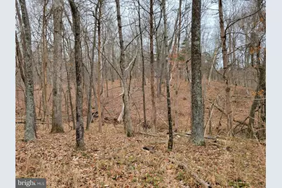 7400 Bull Run Drive, Centreville, VA 20121 - Photo 7