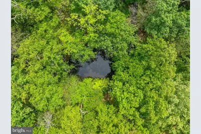 10611 Allenwood Lane, Great Falls, VA 22066 - Photo 57