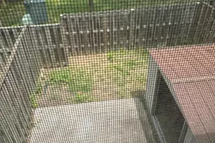 6304 Draco St, Burke, VA 22015 - Photo 5