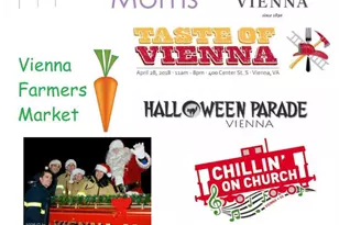 2010 Pieris Ct, Vienna, VA 22182 - Photo 49