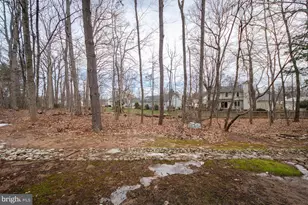 12540 Sweet Leaf Terrace, Fairfax, VA 22033 - Photo 35