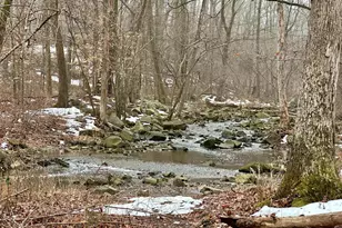 7405 Add Dr, Falls Church, VA 22042 - Photo 5