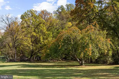 1207 Towlston Road, Great Falls, VA 22066 - Photo 69