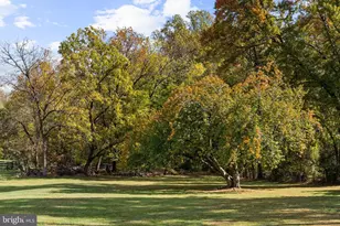 1207 Towlston Rd, Great Falls, VA 22066 - Photo 69