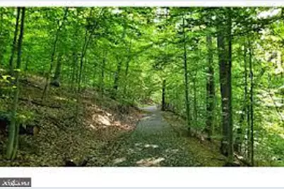 3518 Ellery Circle, Falls Church, VA 22041 - Photo 53