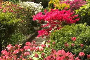 9451 Lapstrake Ln, Burke, VA 22015 - Photo 55